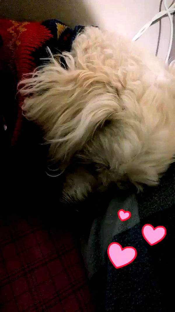 feelbetterinmysweater archive video preview