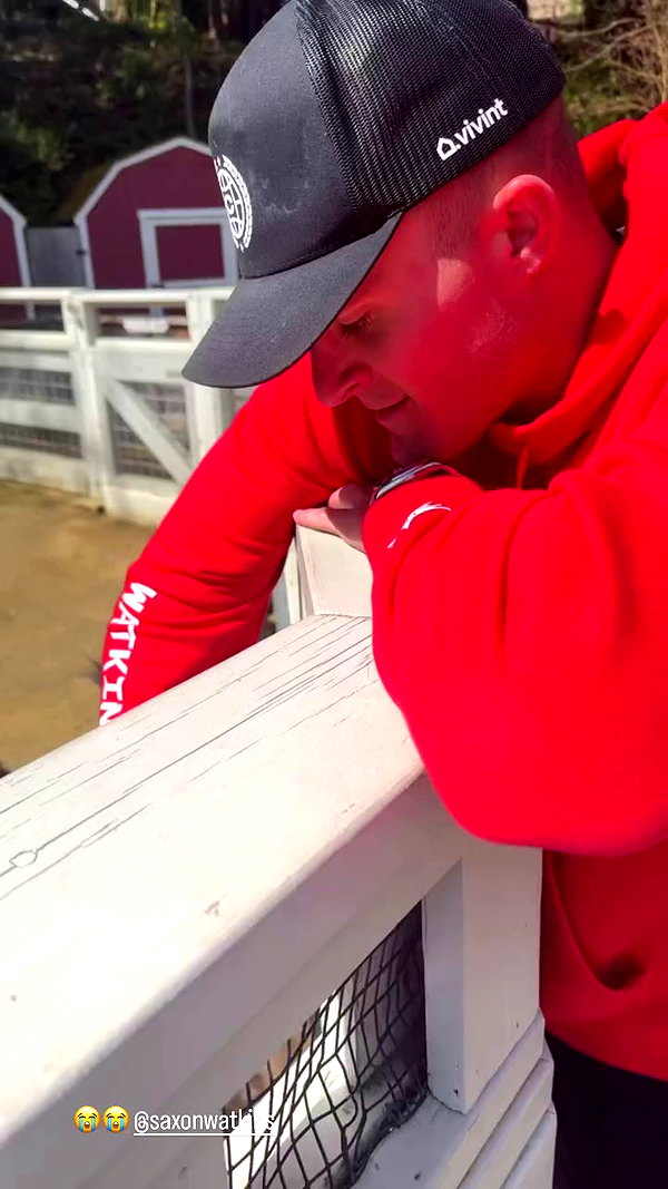 taylorballarddd archive video preview