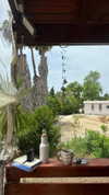 roni_ackerman Altpins Profile Picture