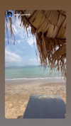 amit.yaron Altpins Profile Picture