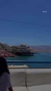 shelly_roberin Altpins Profile Picture