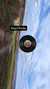 zz.eazoning Altpins Profile Picture
