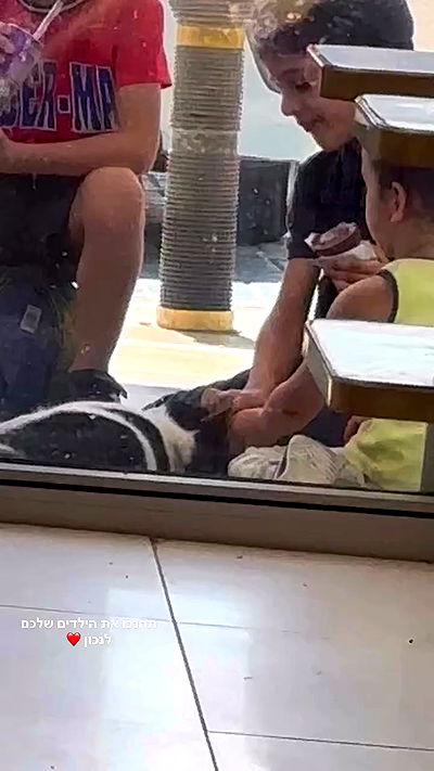 mishel116 mishel116 archive video