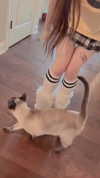 sminky Altpins Profile Picture
