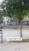 lior_levrun Altpins Profile Picture