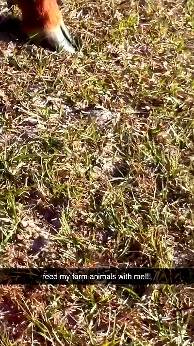 sophieraiin sophieraiin archive video