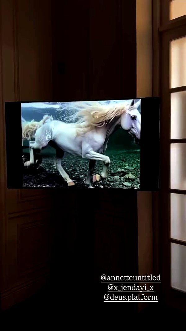 x_jendayi_x archive video preview