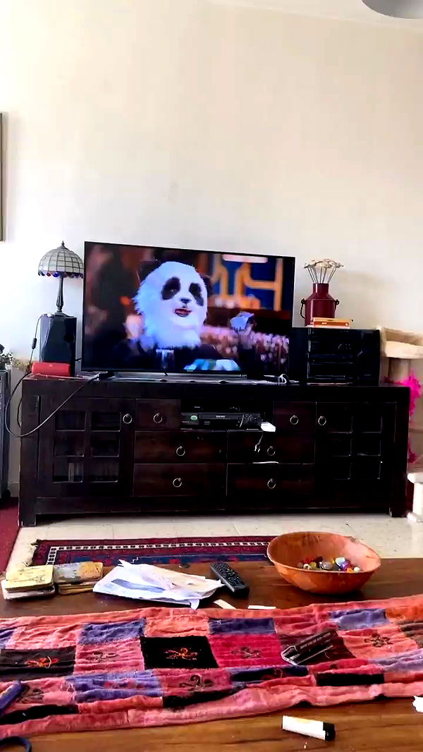 feelbetterinmysweater archive video preview