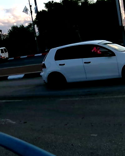 simp_for_cats_ simp_for_cats_ archive video