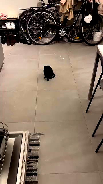 candy_balll archive video preview