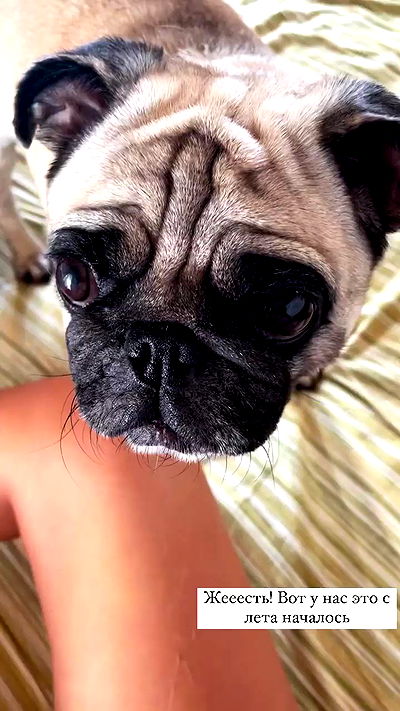 nyityam nyityam archive video