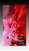 shaipeleg Altpins Profile Picture
