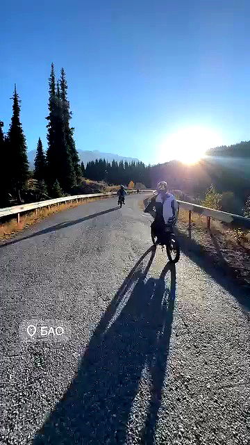 annfigma annfigma archive video