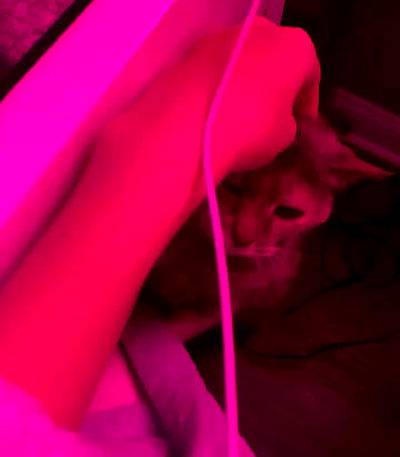 dakotabell05 dakotabell05 archive video