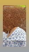 sins_n_stuff Altpins Profile Picture