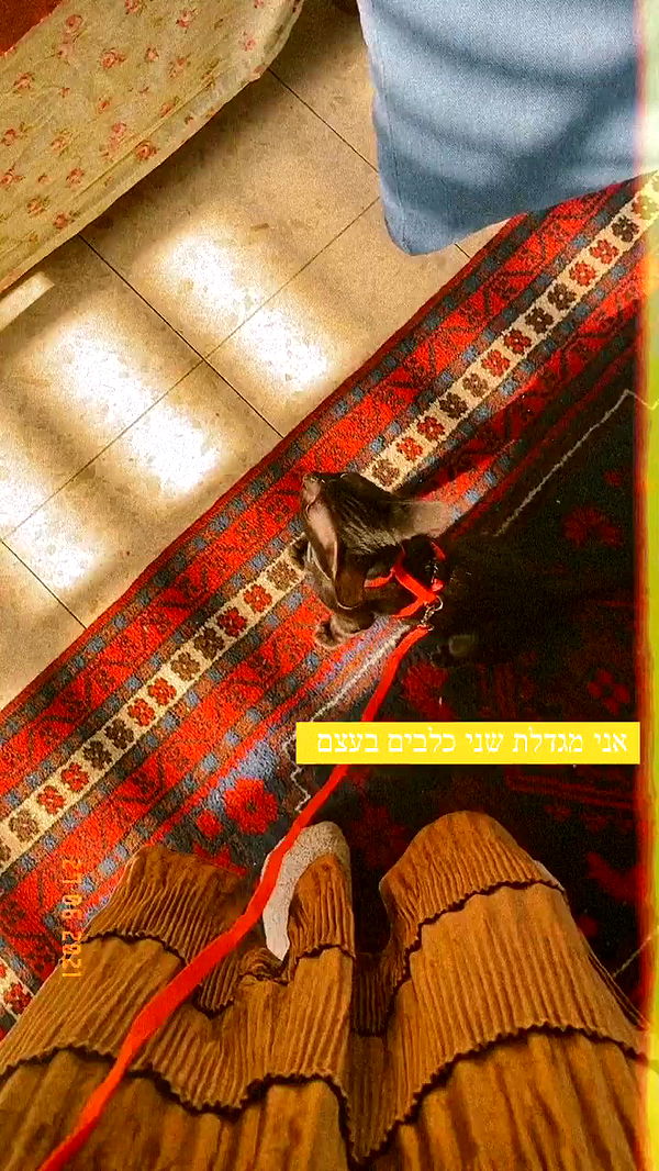 feelbetterinmysweater archive video preview