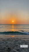 laurasaponara Altpins Profile Picture