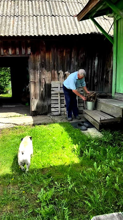 nyityam nyityam archive video