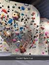 cclaire.bbear1 Altpins Profile Picture