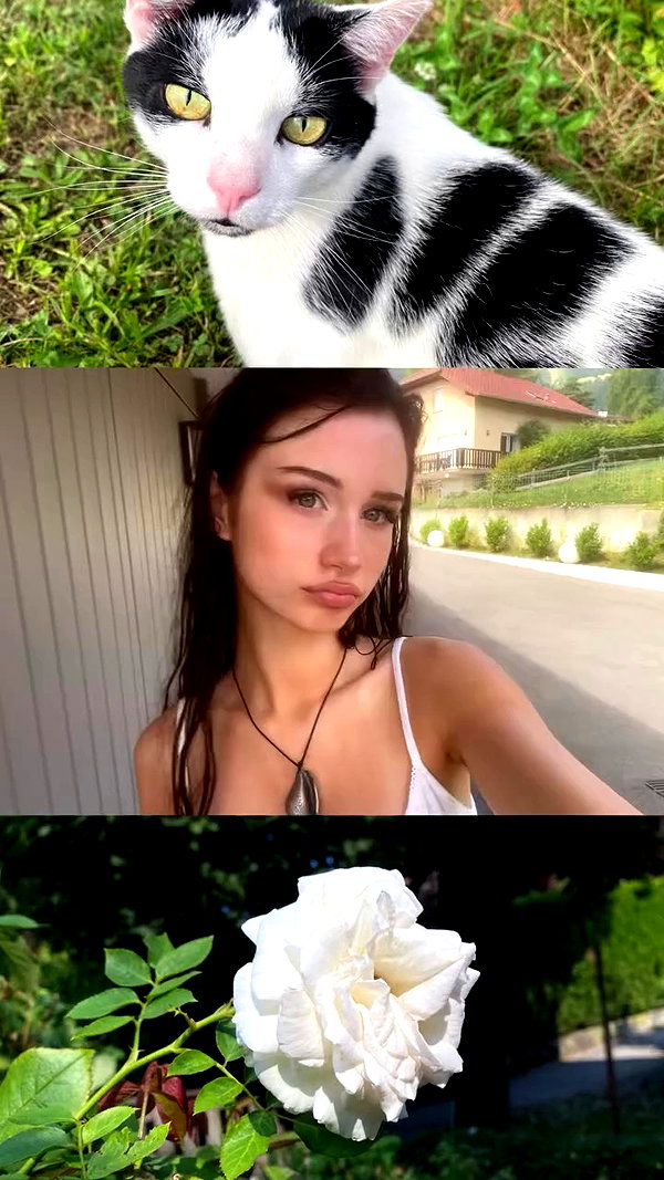 flo_holland53 archive video preview
