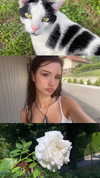 flo_holland53 Altpins Profile Picture