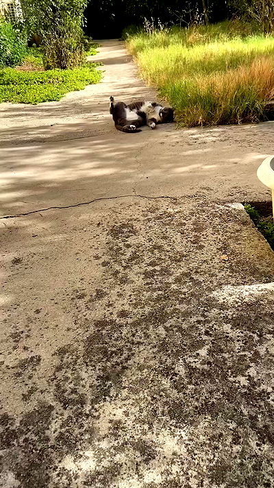 feelbetterinmysweater feelbetterinmysweater archive video