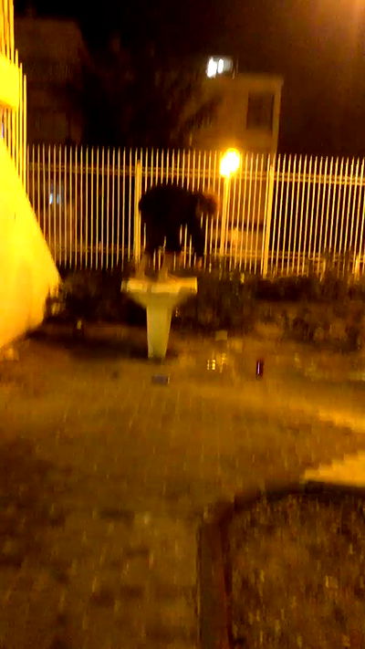 feelbetterinmysweater feelbetterinmysweater archive video