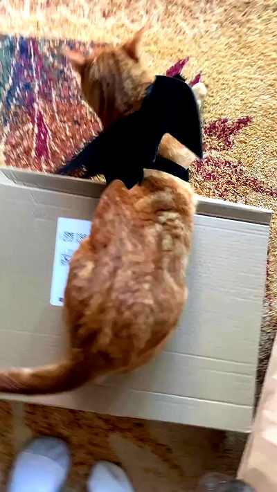 winbun.io winbun.io archive video