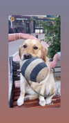 ellauk Altpins Profile Picture