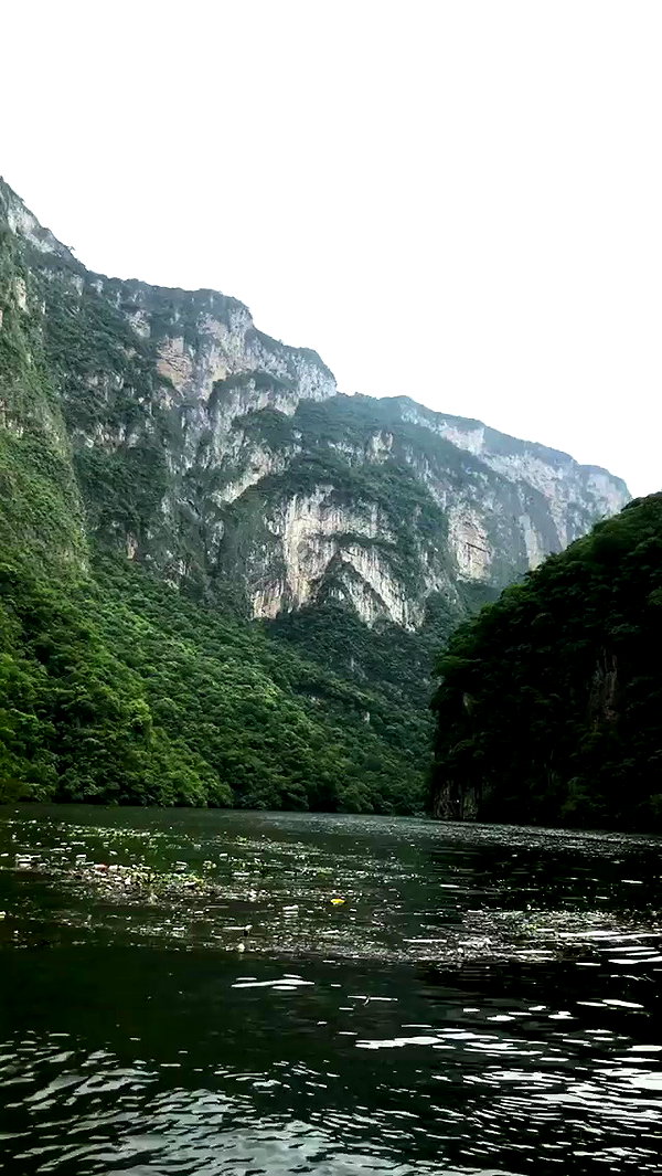 noa_mendel_ archive video preview