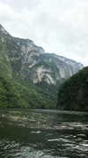 noa_mendel_ Altpins Profile Picture