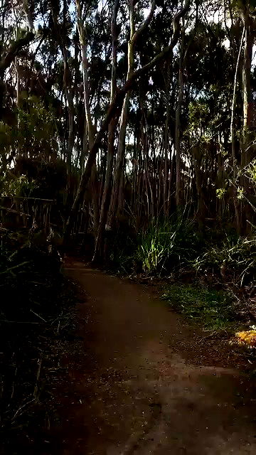 piper.jaylen piper.jaylen archive video