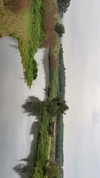 sofiya.pl Altpins Profile Picture