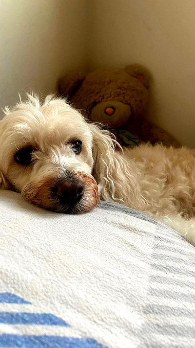 feelbetterinmysweater feelbetterinmysweater archive video