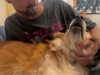 amyeett Altpins Profile Picture