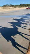 eloise_wensley Altpins Profile Picture