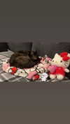 leenalleee Altpins Profile Picture
