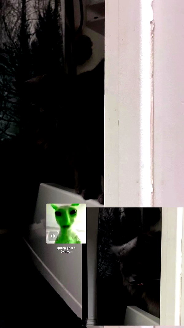 bloodyfukk archive video preview