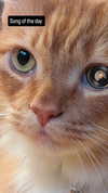 zz.eazoning Altpins Profile Picture