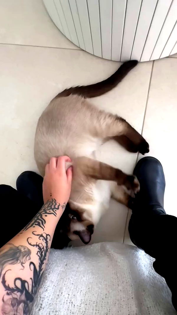 romy_lavi archive video preview