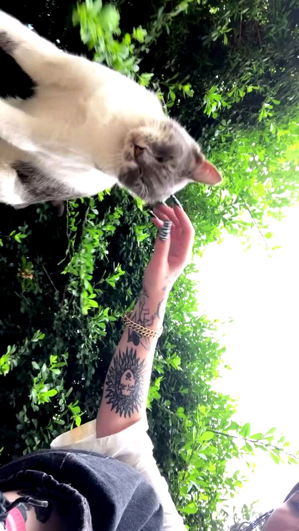 shanikaneko archive video preview