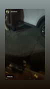 assoolin Altpins Profile Picture