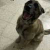 emily_new2 Altpins Profile Picture