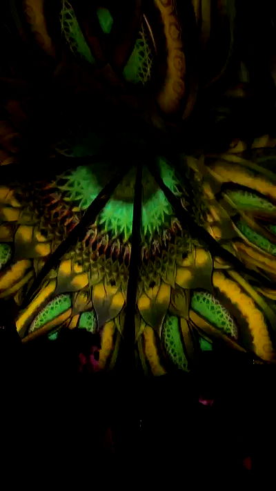 aekamee aekamee archive video