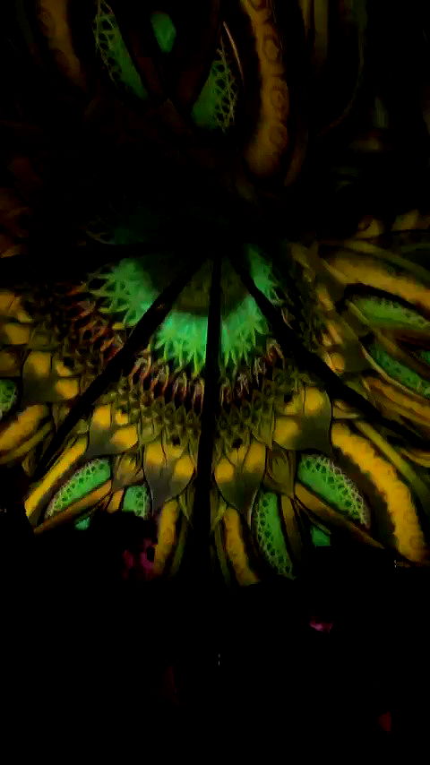 aekamee archive video preview