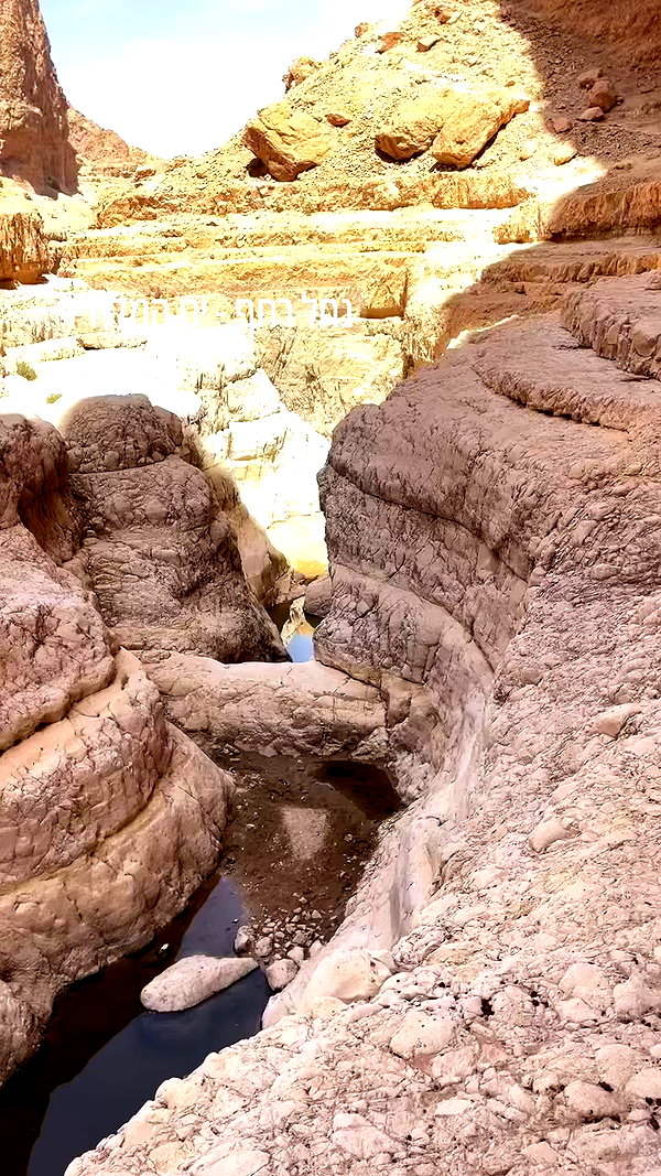liad.arazi archive video preview