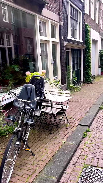 bakedsloths bakedsloths archive video