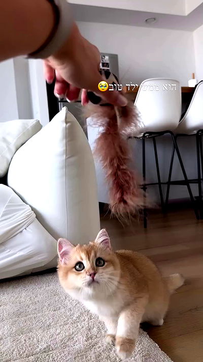 itsilanosh itsilanosh archive video