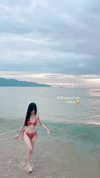 wdmp00_ Altpins Profile Picture