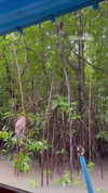 shelly_roberin Altpins Profile Picture